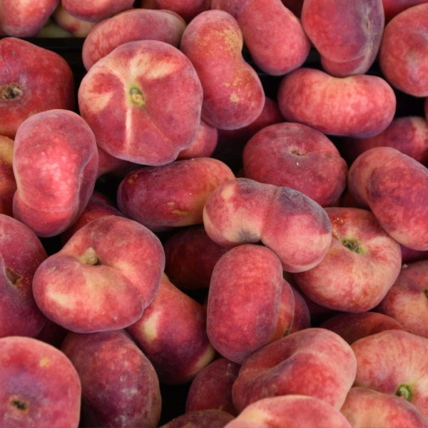BIB BAG FOR HARVESTING APPLES PEARS PLUMS PLUKO BAG 15-18 KG Manufacturer code 33981