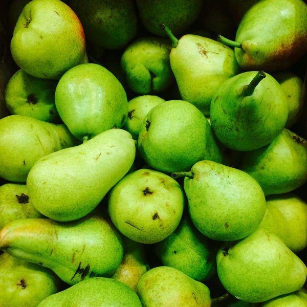 BIB BAG FOR HARVESTING APPLES PEARS PLUMS PLUKO BAG 15-18 KG Type other