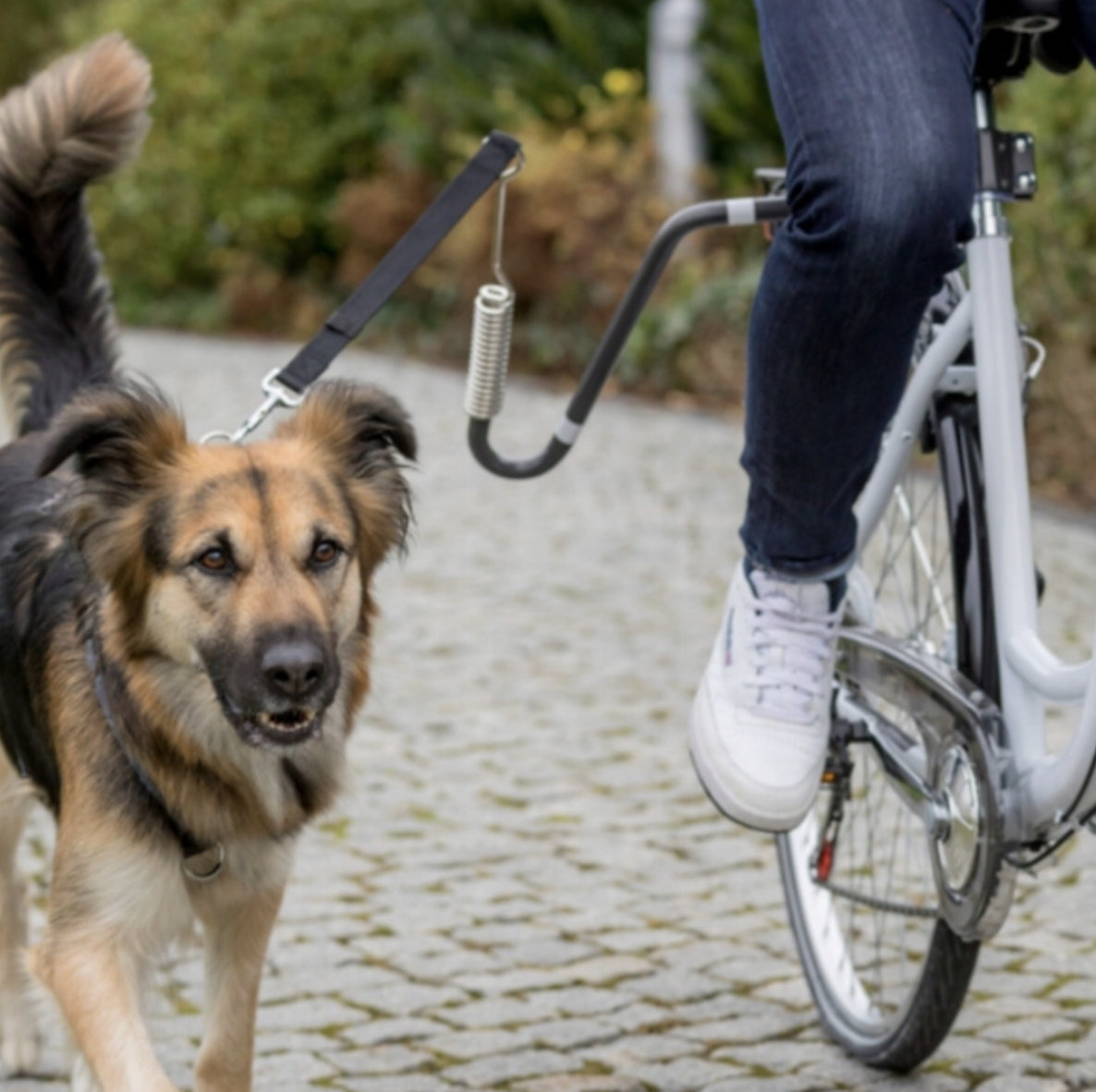 BICYCLE LEASH FOR LARGE AND MEDIUM DOG WITH SHOCK ABSORBER SAFE Manufacturer code 10050995