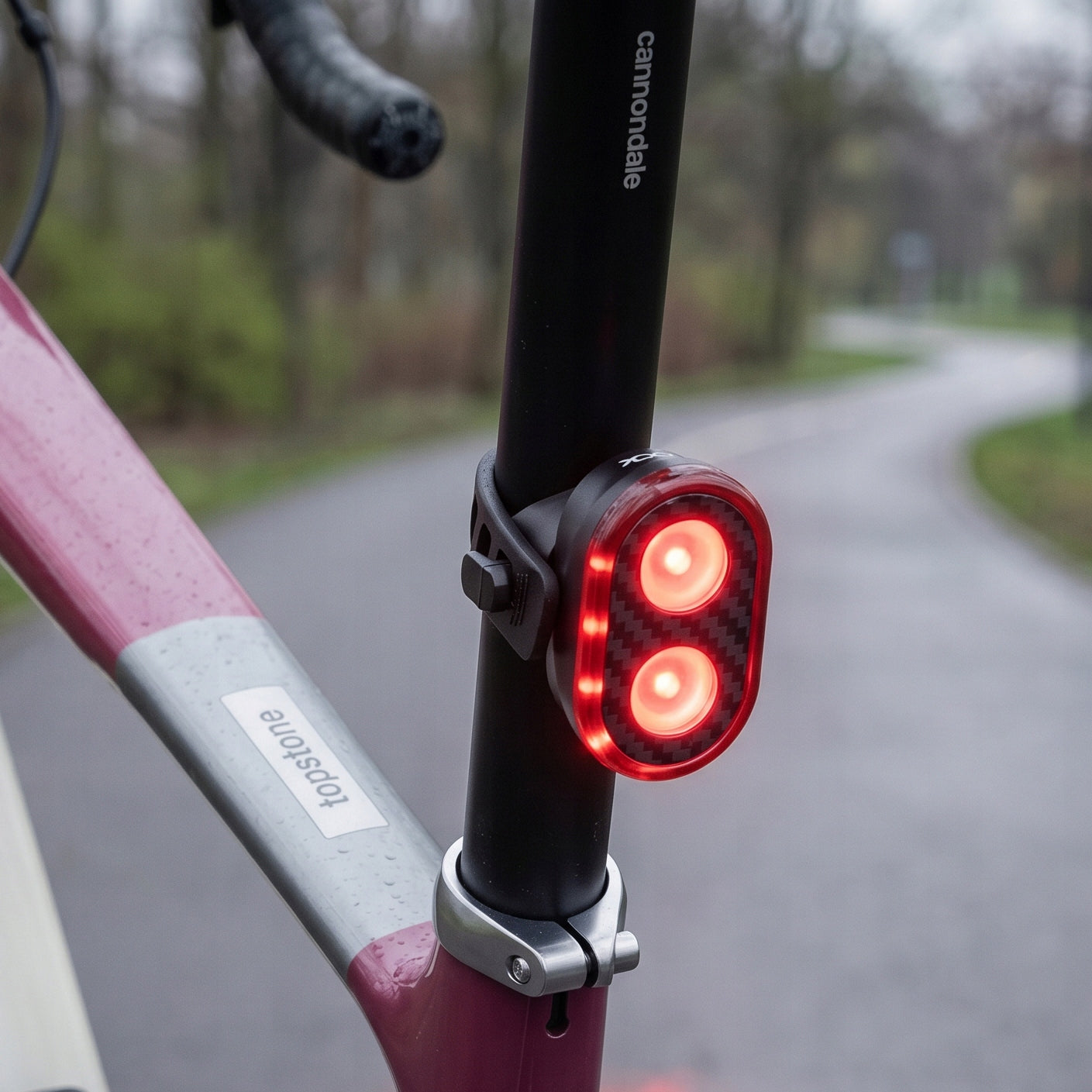 BICYCLE LIGHT LED REAR USB BACK RECHARGEABLE WATERPROOF LIGHT VAYOX Kind rear-facing