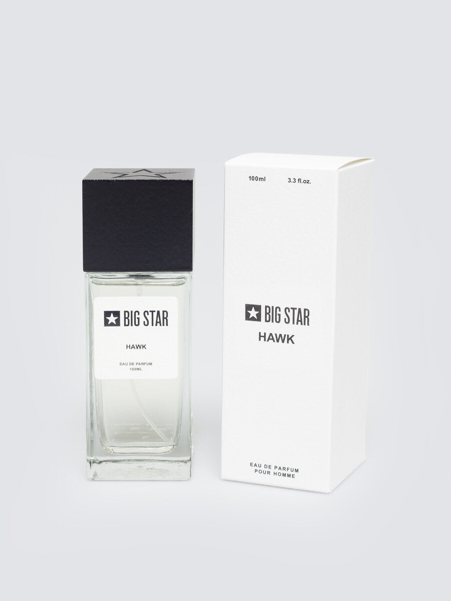 BIG STAR EAU DE PARFUM FOR MEN HAWK 100 ML 100ML Brand Big Star
