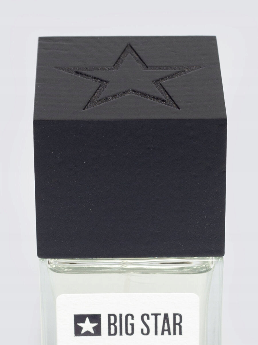 BIG STAR EAU DE PARFUM FOR MEN HAWK 100 ML 100ML Olfactory group woody-aquatic