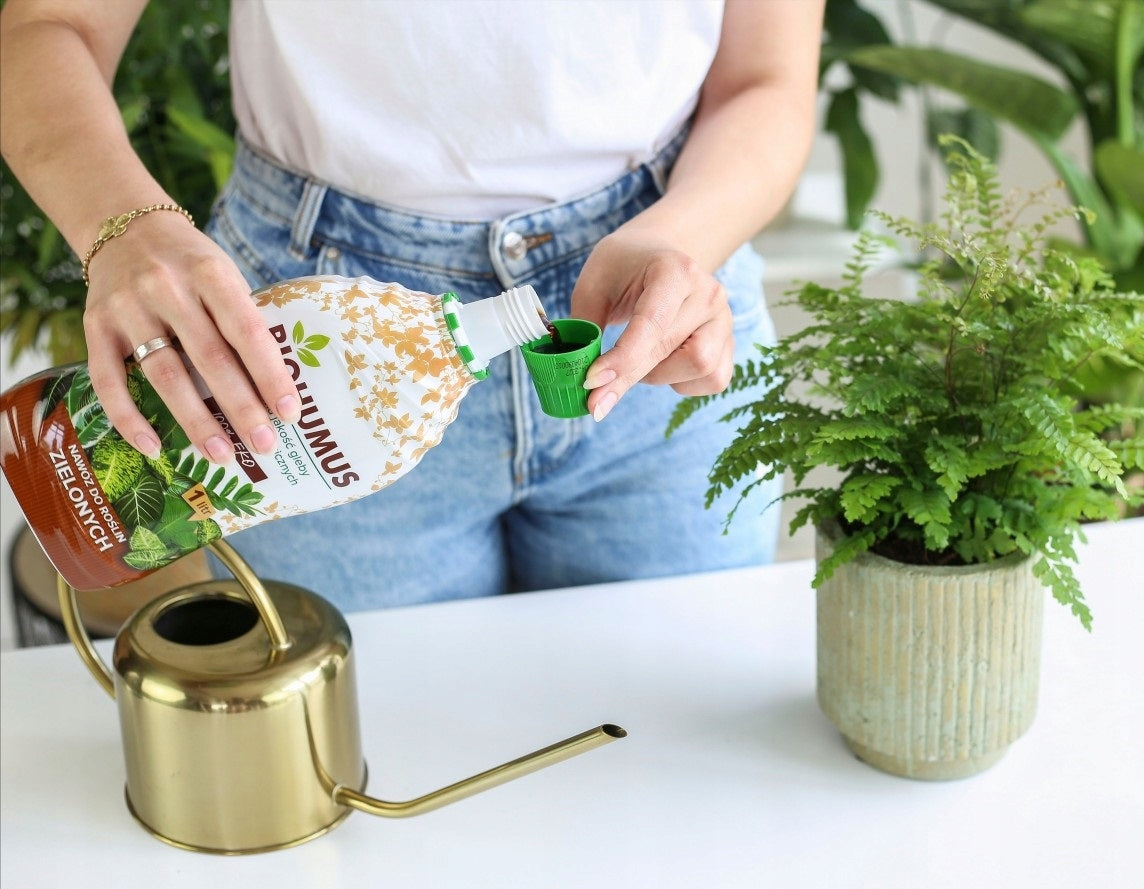BIOHUMUS ECO FERTILIZER FOR GREEN PLANTS MONSTERY ZAMIOKULKASA JUK AGRECOL 1L Form liquid