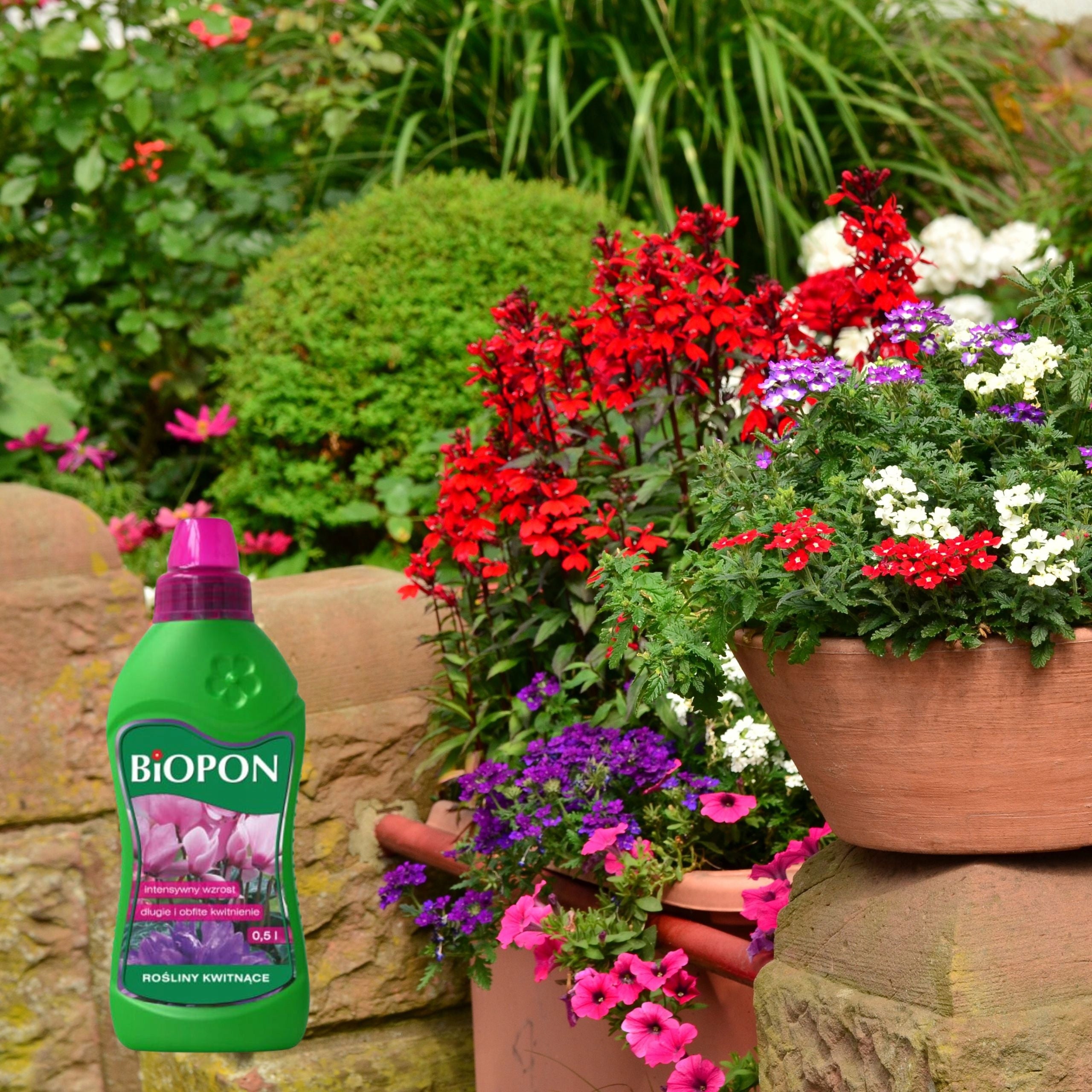 BIOPON FERTILIZER FOR FLOWERING PLANTS IN LIQUID 0,5L LONG ABUNDANT FLOWERING Purpose for flower care for house plants