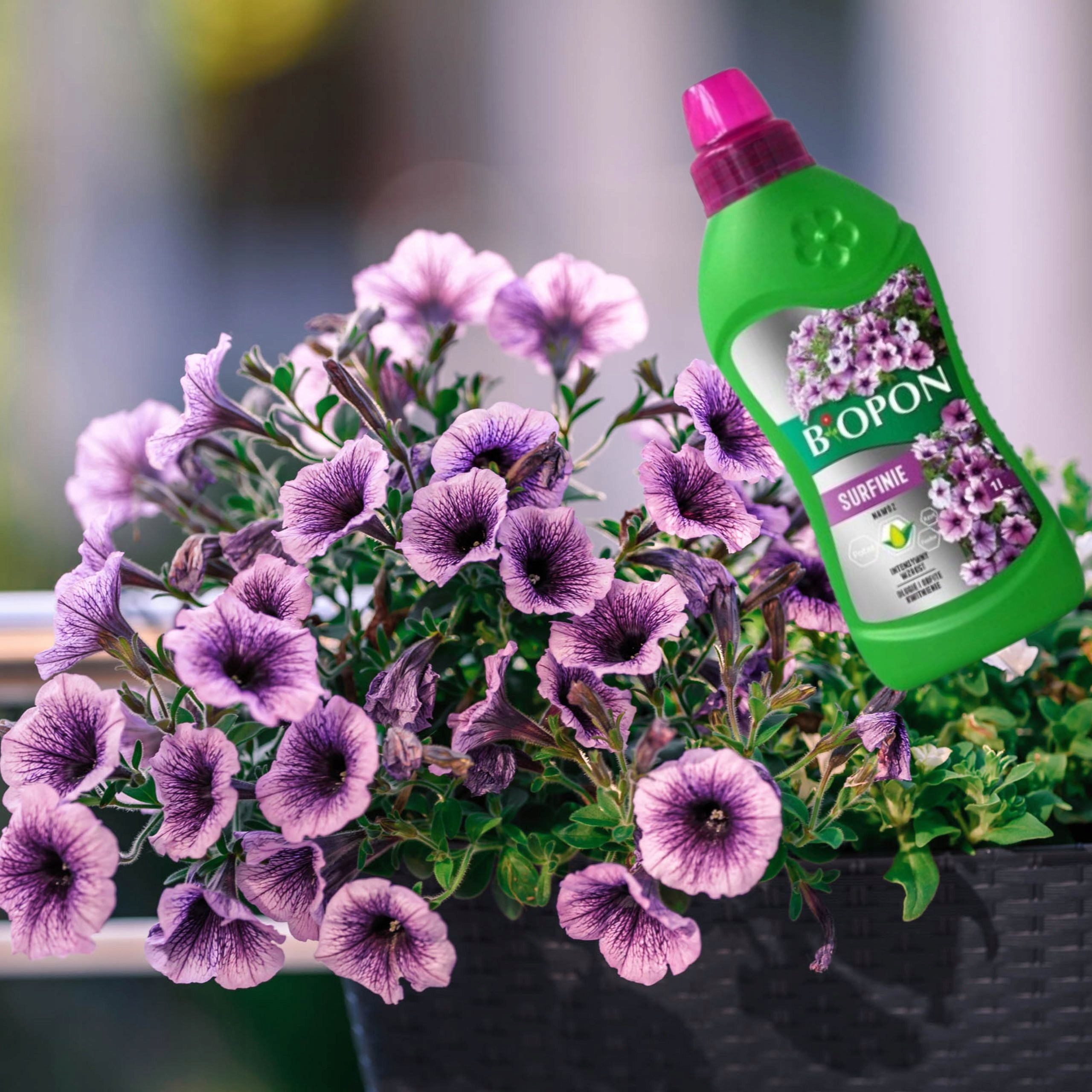 BIOPON FERTILIZER FOR SURFINII 1L LIQUID LONG ABUNDANT FLOWERING GROWTH EAN (GTIN) 5904517008151