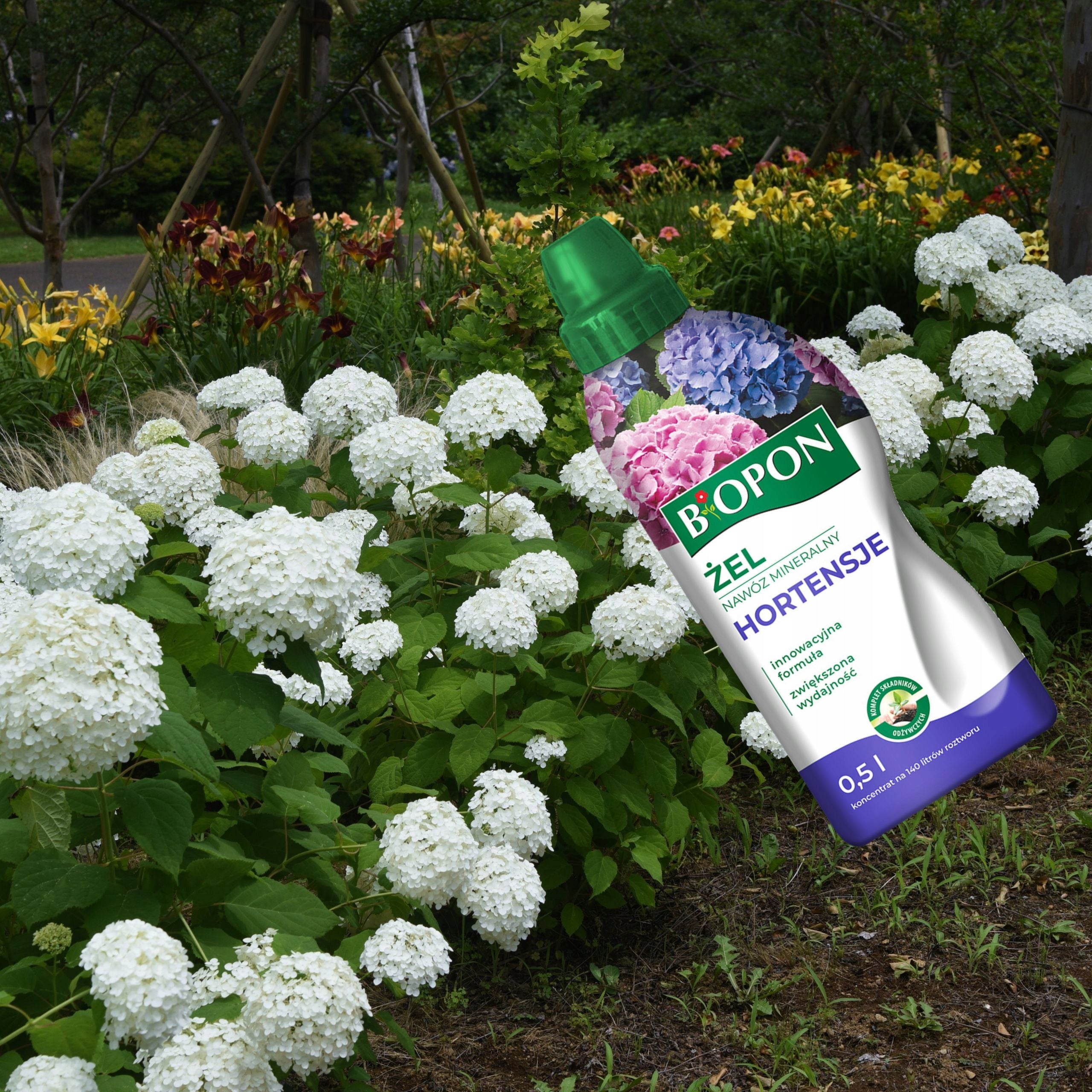 BIOPON MINERAL GEL FERTILIZER FOR HYDRANGEA 0,5L VERY EFFICIENT STAINING EAN (GTIN) 5904517106062