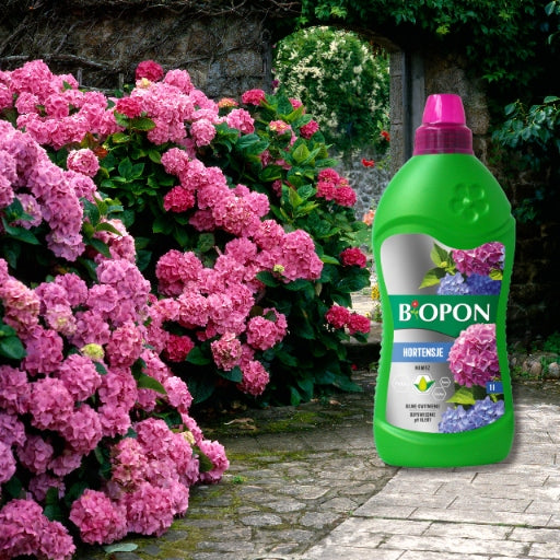 BIOPON Multicomponent Fertilizer for Hydrangea Lush Flowering 1L Manufacturer code 5904517403277