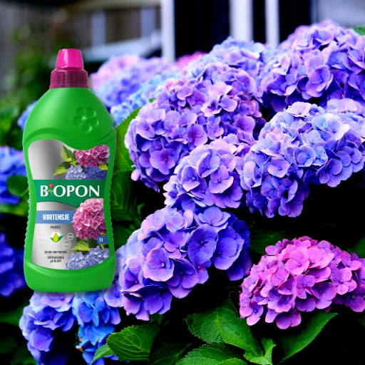 BIOPON Multicomponent Fertilizer for Hydrangea Lush Flowering 1L Packaging status original