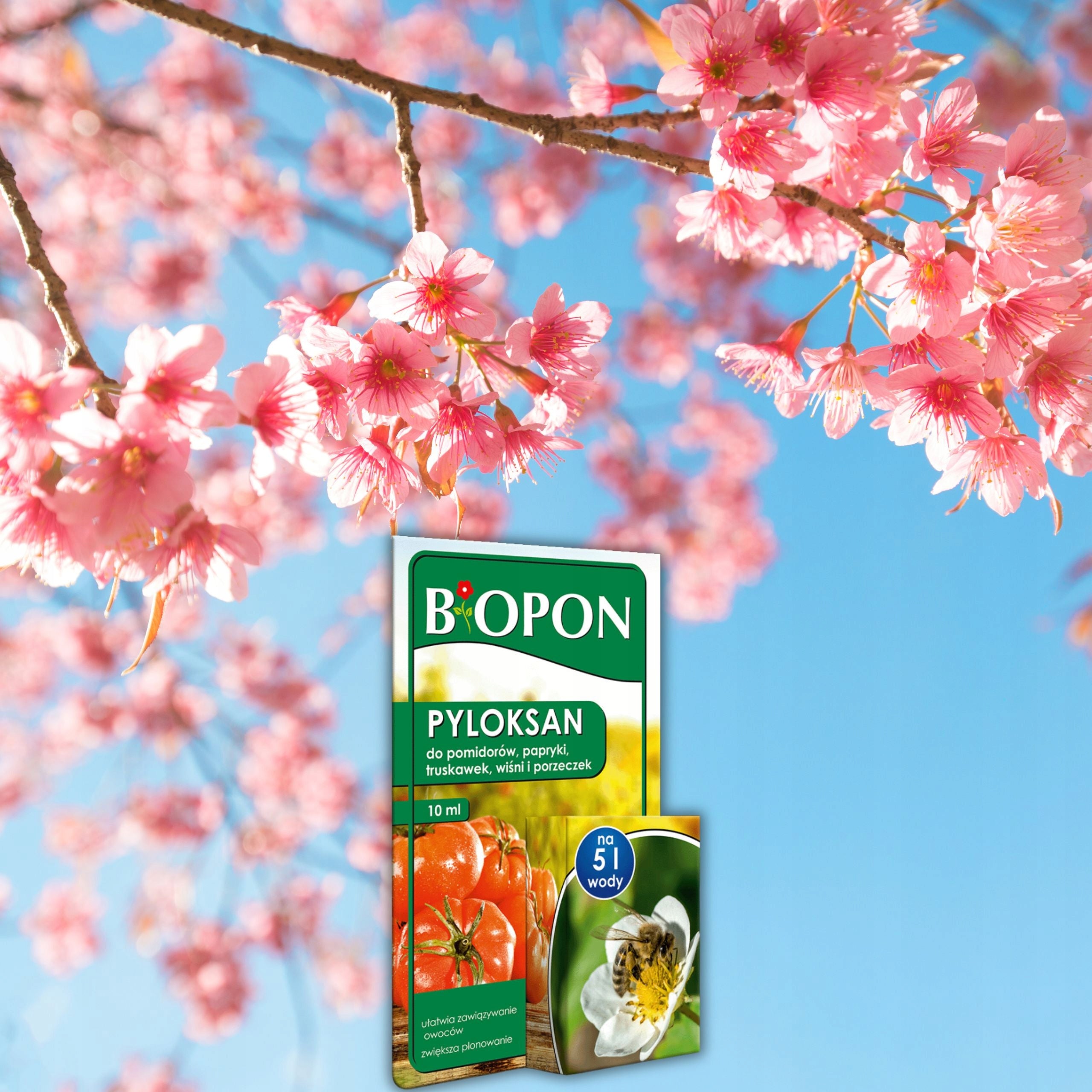 BIOPON PYLOXANE FOR EASY FRUIT BINDING INCREASING YIELD 10ML Manufacturer Bros