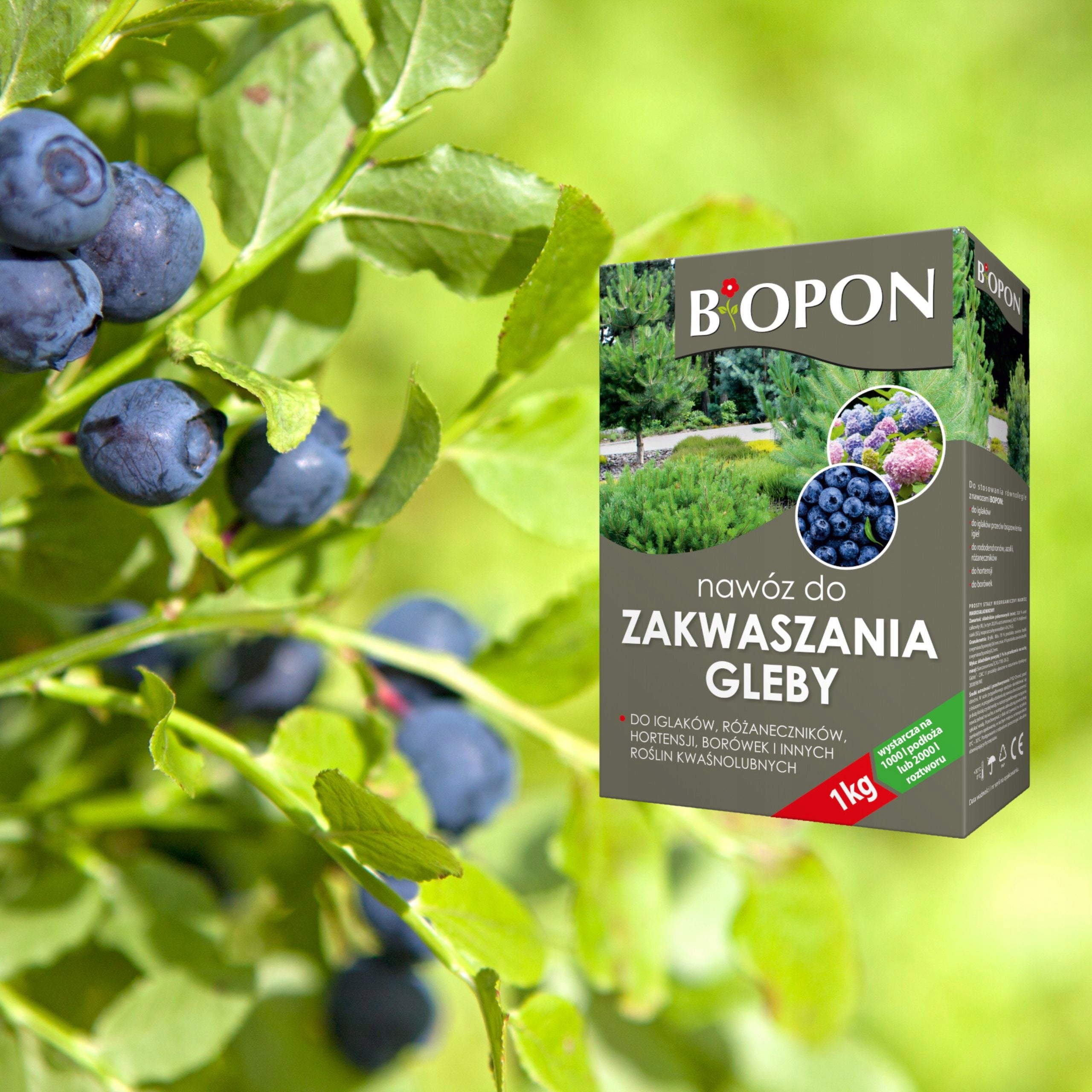 BIOPON SOIL ACIDIFICATION PREPARATION 1KG FOR ACID-LOVING PLANTS AND CONIFERS Form granules