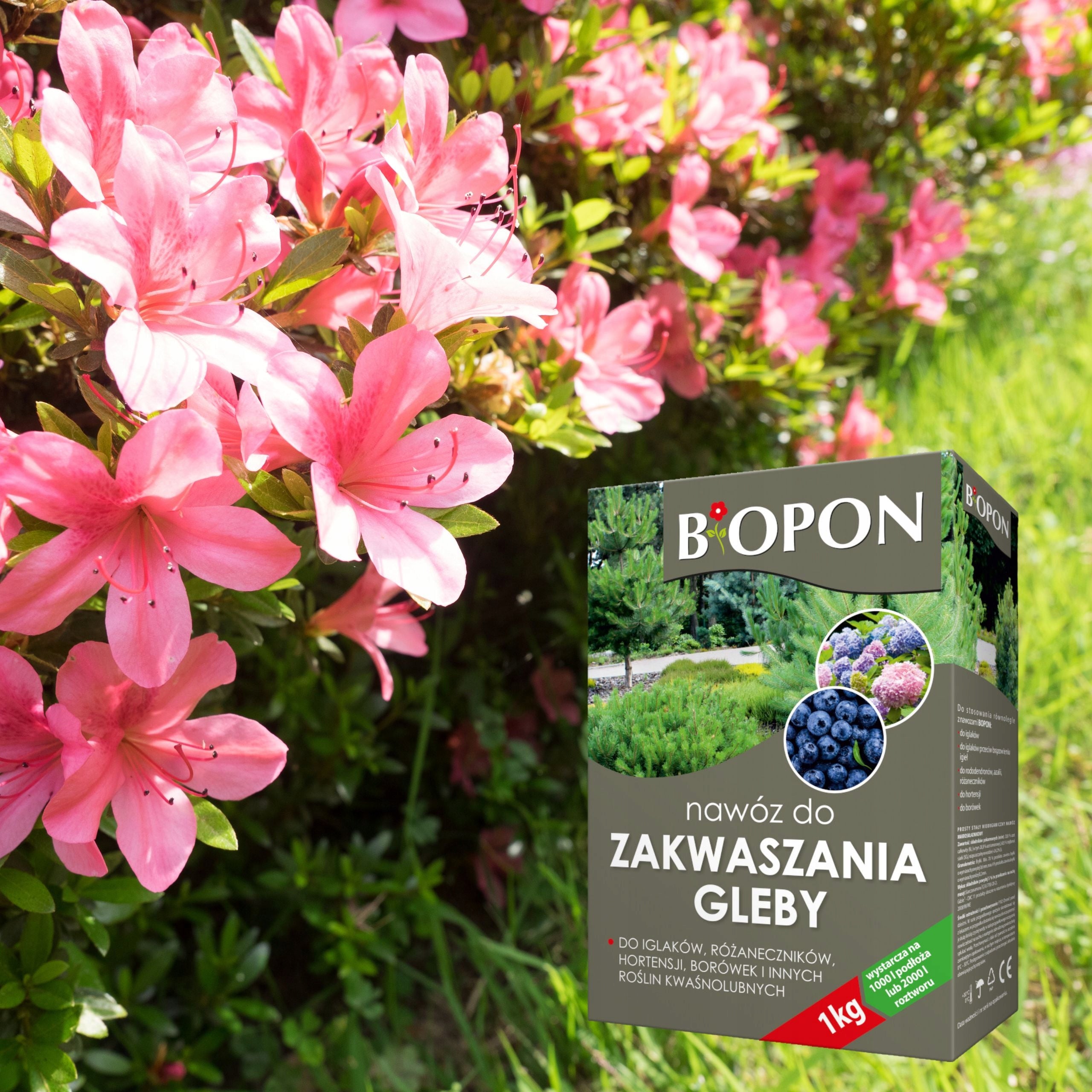 BIOPON SOIL ACIDIFICATION PREPARATION 1KG FOR ACID-LOVING PLANTS AND CONIFERS Manufacturer Biopon