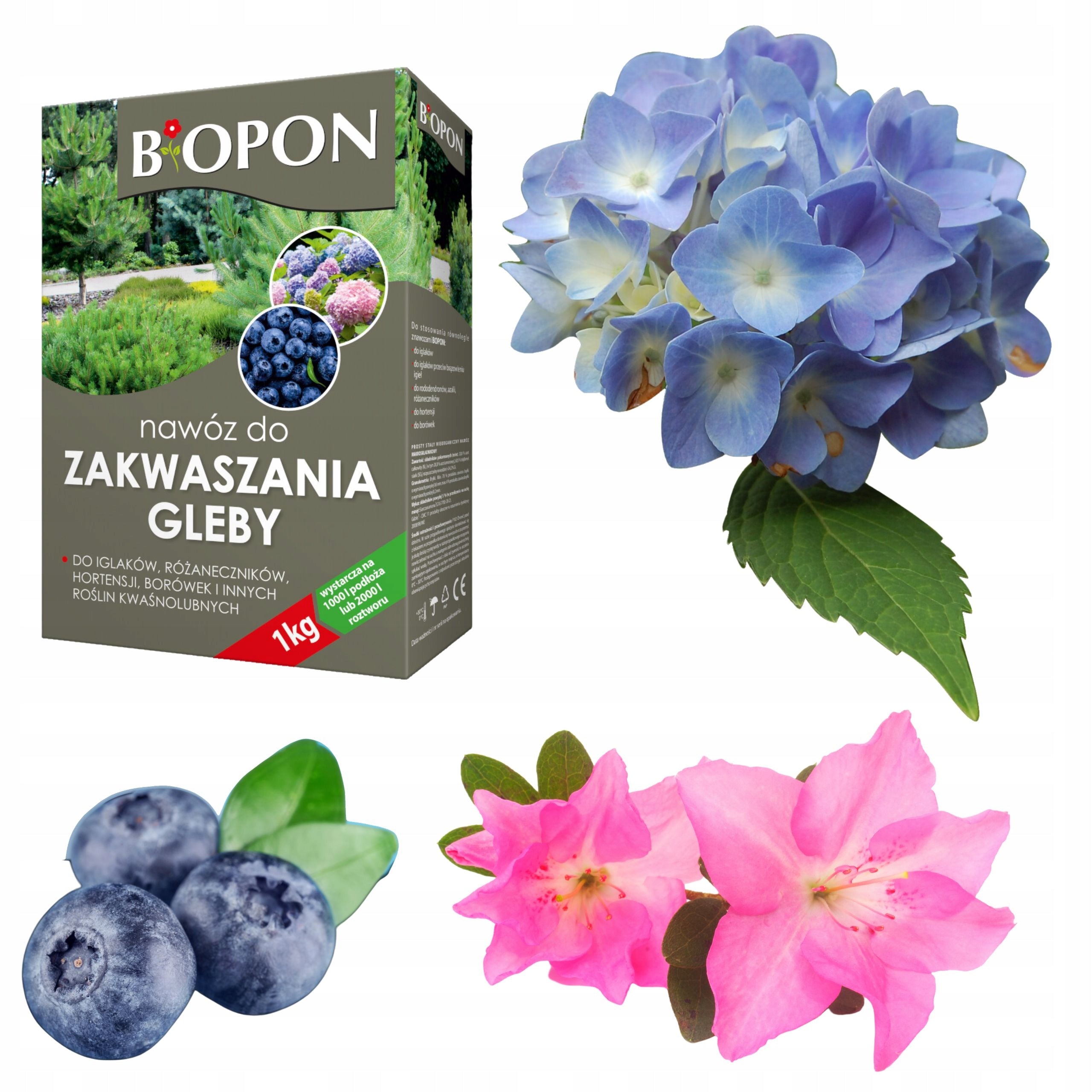BIOPON SOIL ACIDIFICATION PREPARATION 1KG FOR ACID-LOVING PLANTS AND CONIFERS Packaging status original