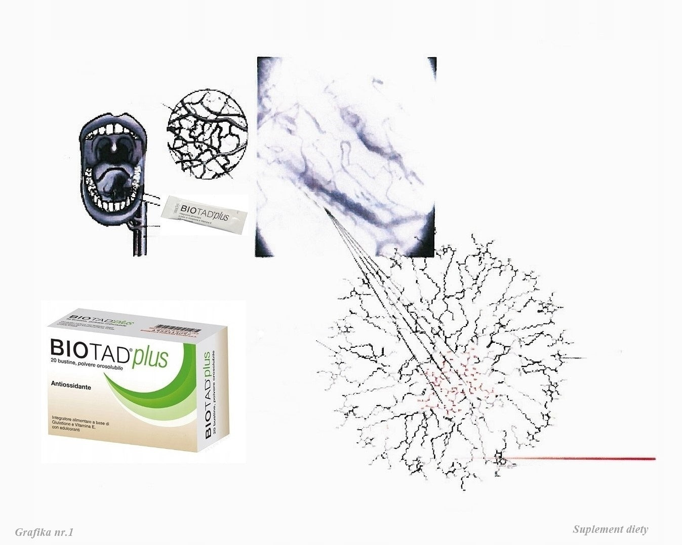 BIOTAD PLUS ITALIAN GLUTATHIONE, TAD, UNDER TONGUE, VITAMIN E, GLUTEN-FREE Manufacturer code BIOTAD PLUS Detox Odporność Wątroba Glutation