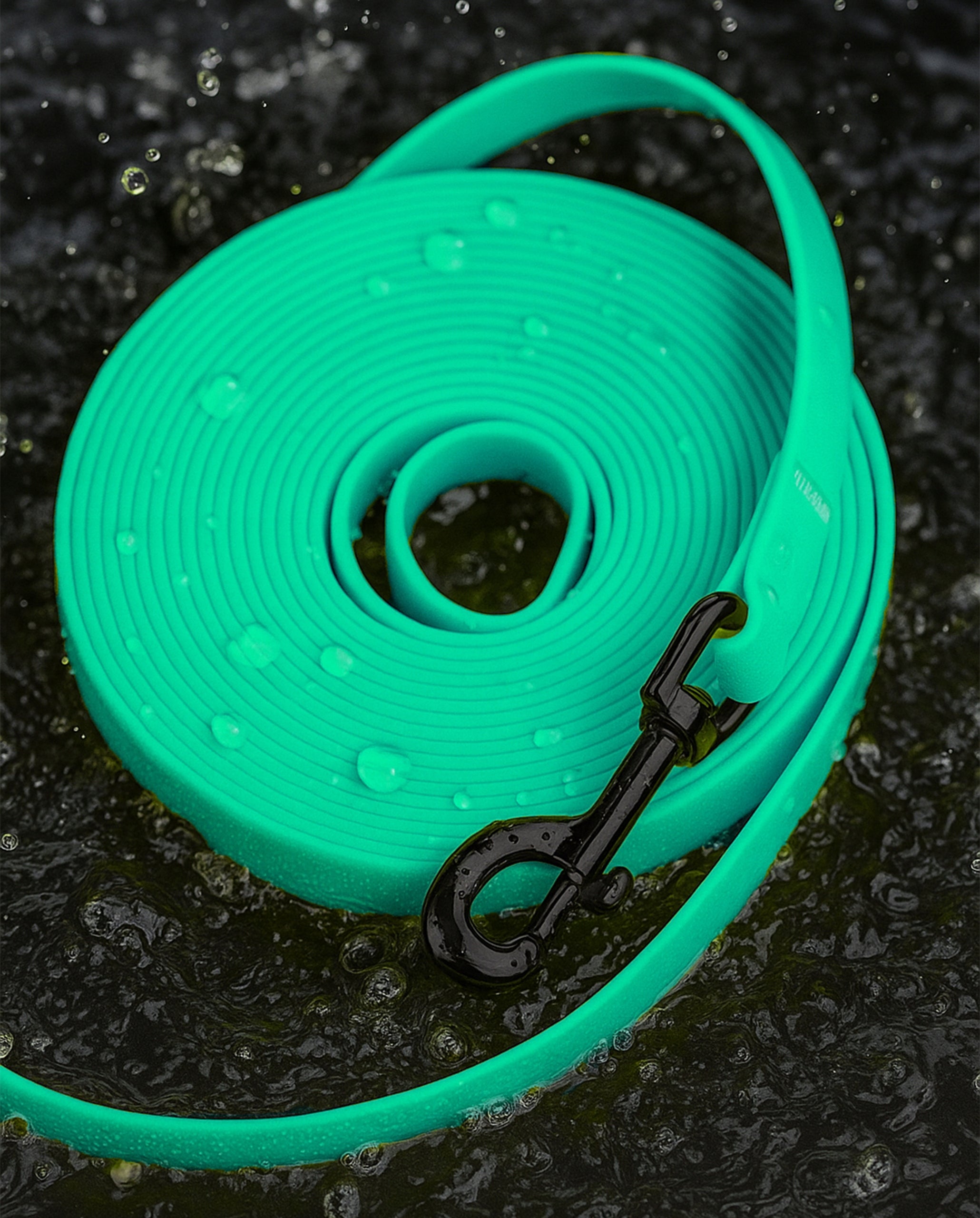 BIOTHANE LANYARD FOR DOG Rope Waterproof Training Tape 3m Turquoise 15mm EAN (GTIN) 5903849530934