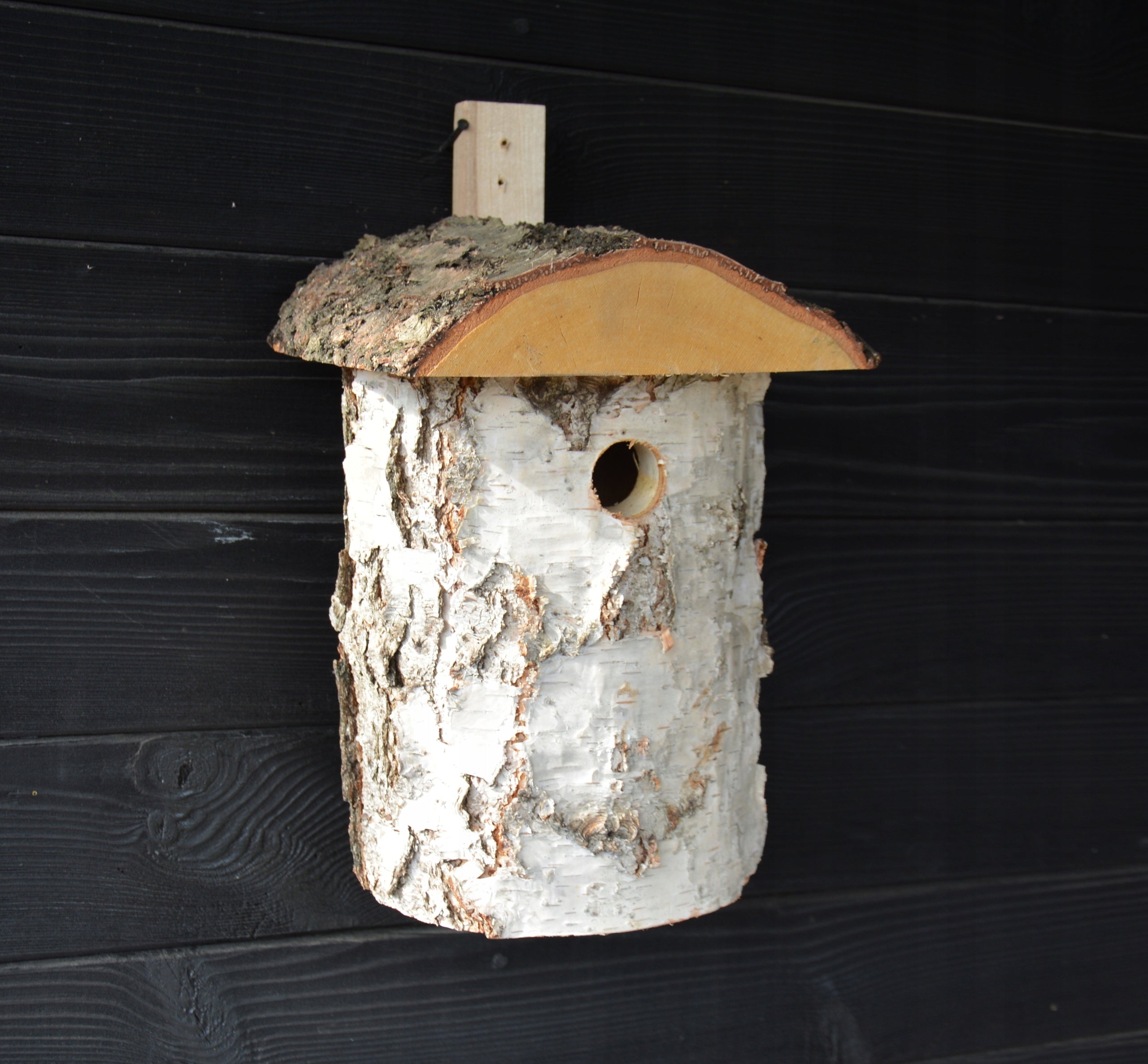 BIRCH NESTING BOX FOR BIRDS NATURAL HOLE LARGE XXL Manufacturer code 5904161