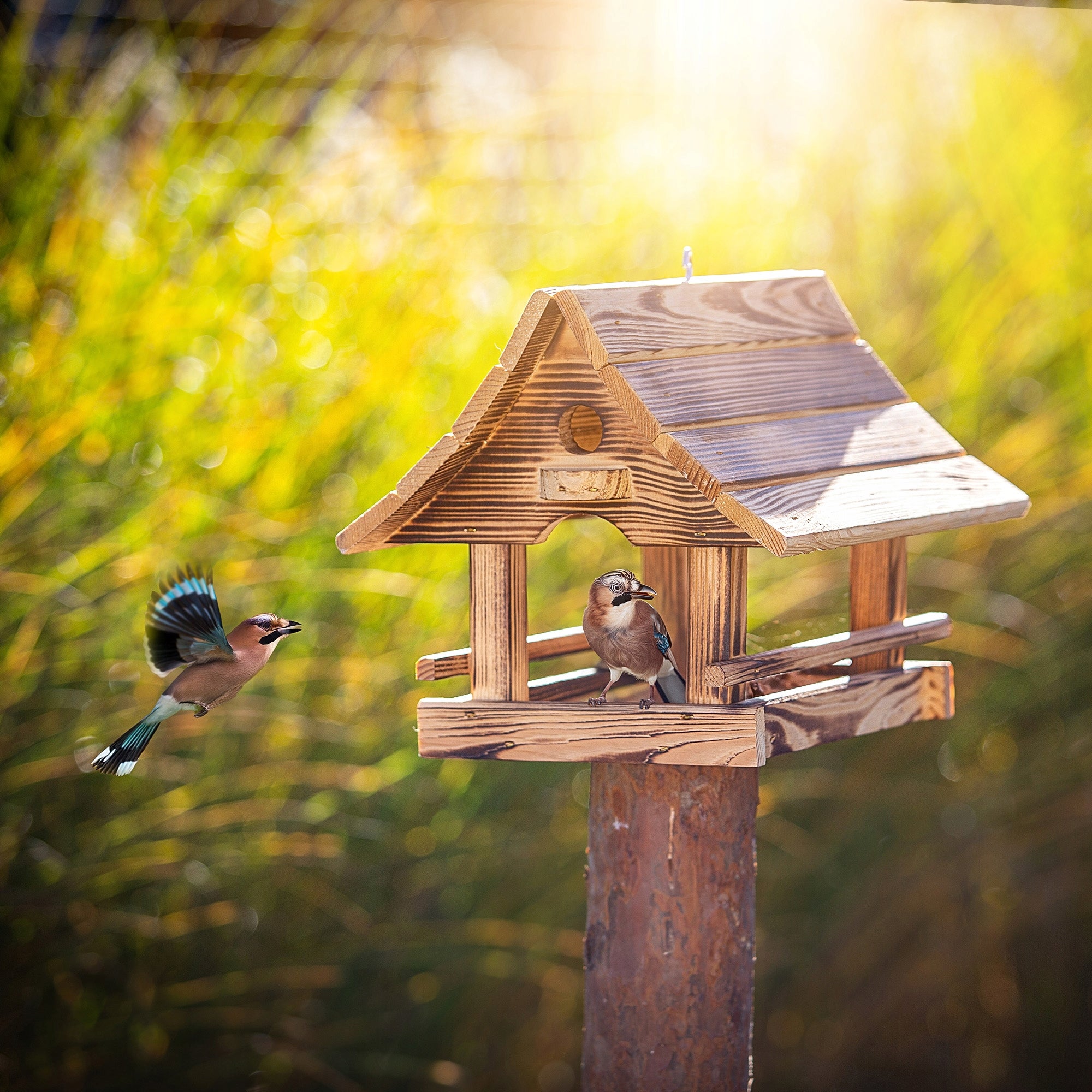 BIRD FEEDER LARGE PREMIUM COTTAGE TANNED WOODEN COTTAGE BOOTH GIFT Packaging status original
