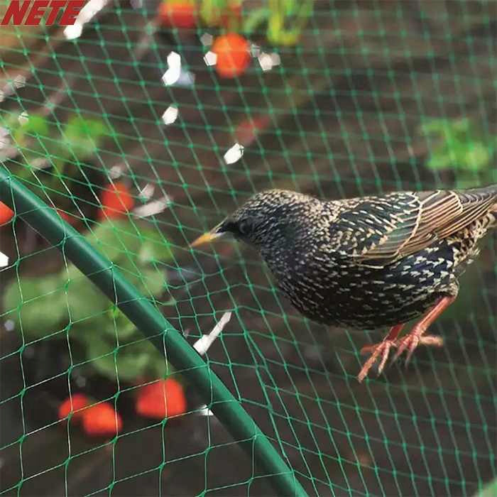 BIRD NET AGAINST BIRDS PROTECTIVE LARGE VERY POWERFUL UV FILTER 8x20m Use Against birds