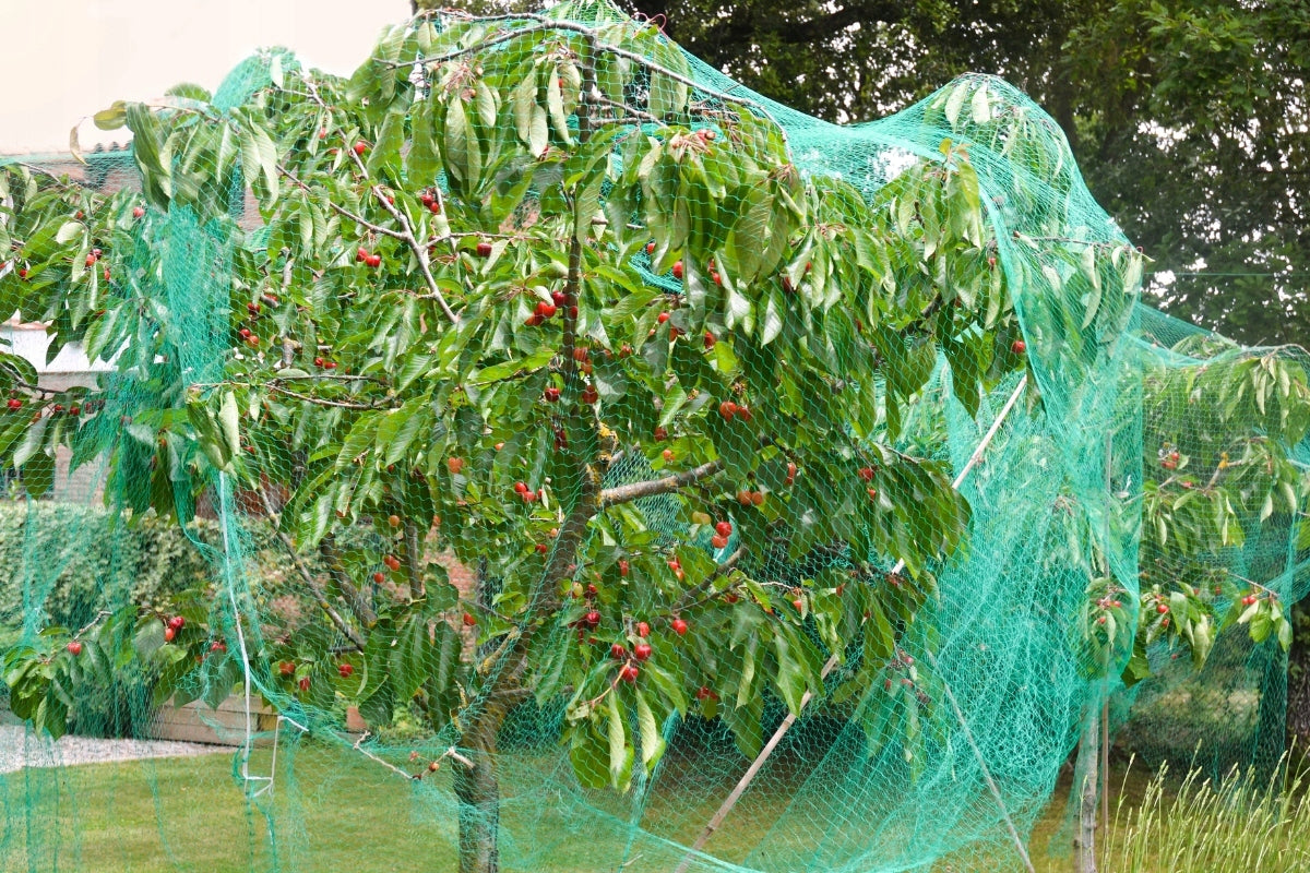 BIRD NET FOR STARLINGS CHICKENS 7,5m Strong Tree Protection for Trees 20g Packaging status original