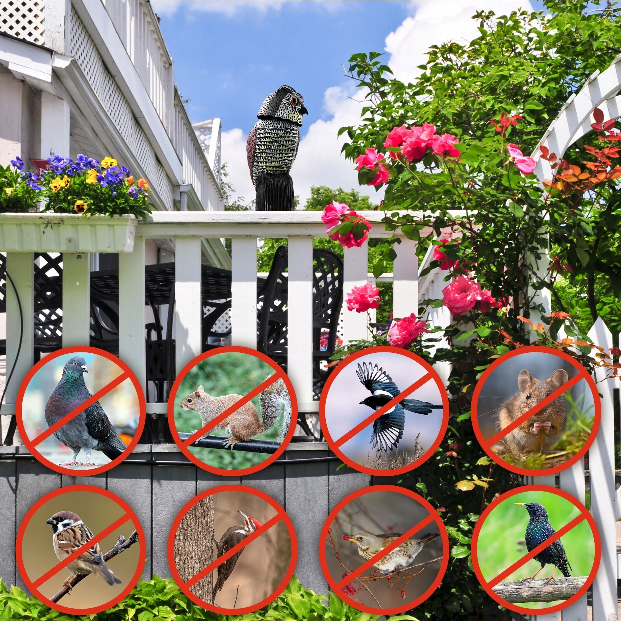 BIRD REPELLENT PIGEON STARLINGS FOR BIRDS OWL MOVING HEAD FOR GARDEN Kind repellent
