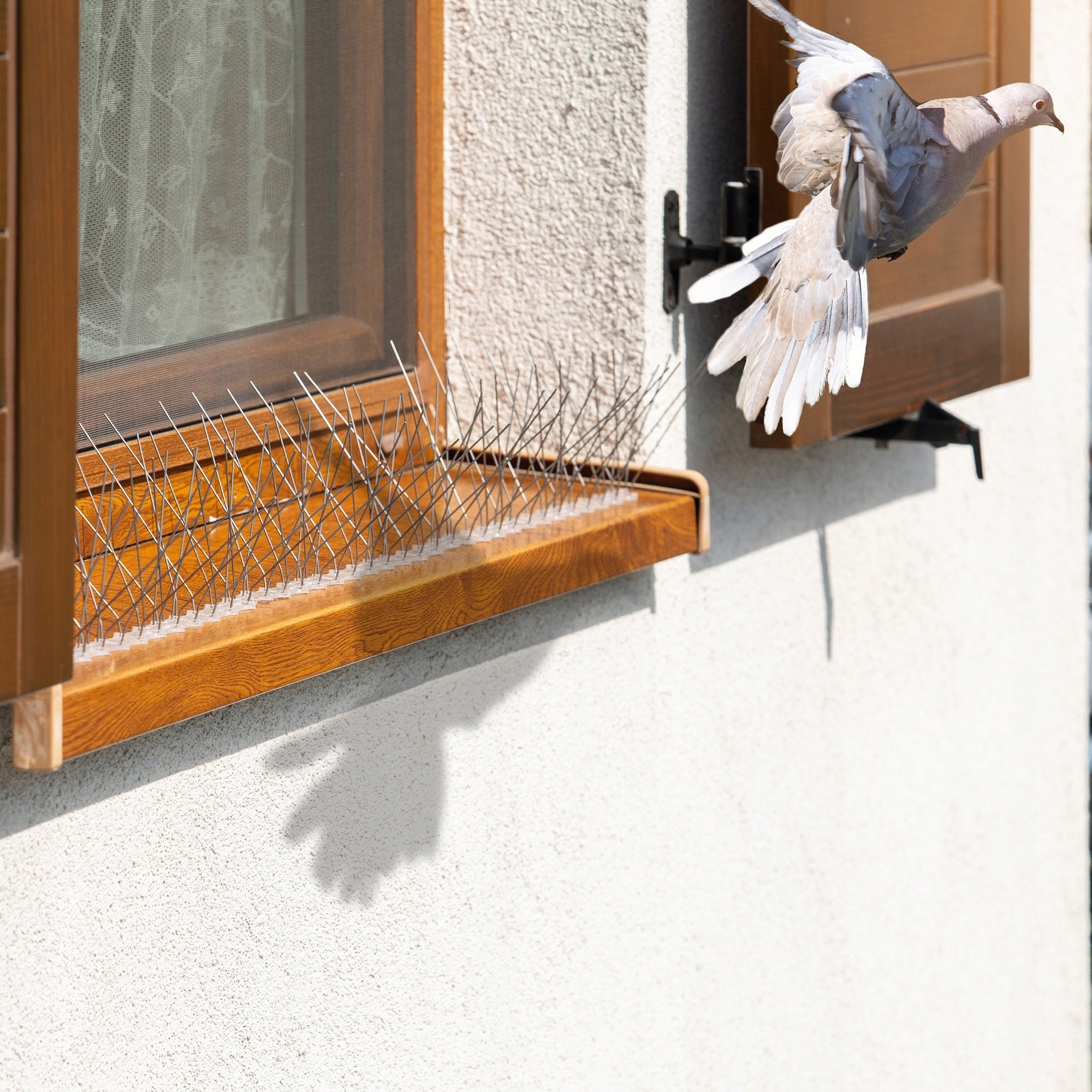 BIRD SPIKES PIGEON DENSE WIDE STAINLESS AGAINST BIRDS HIGH Kind spikes