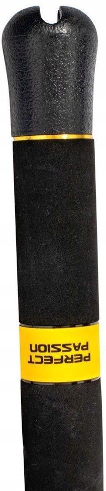 BLACK CAT PERFECT PASSION XH-S ROD 2.80m 600g Total length 280 cm