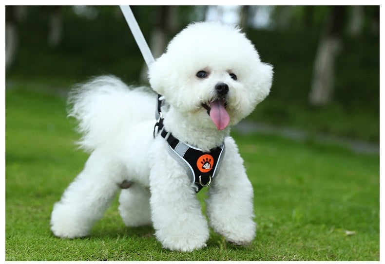 BLACK STEP IN PRESSURE-FREE HARNESS WITH DOG LEASH BREATHABLE SIZE S Brand no brand