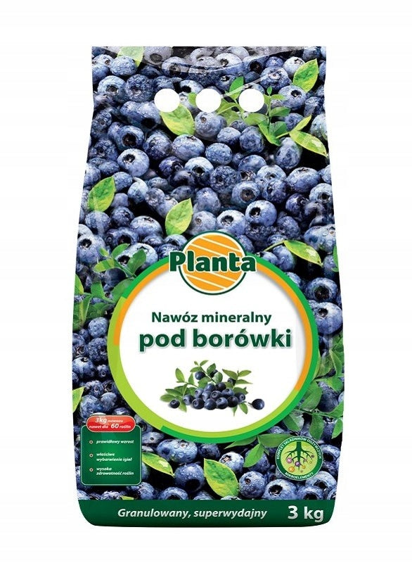 BLUEBERRY FERTILIZER 3kg BLUEBERRIES LARGE TASTY BLUEBERRY FRUIT AMERICAN BLUEBERRY
