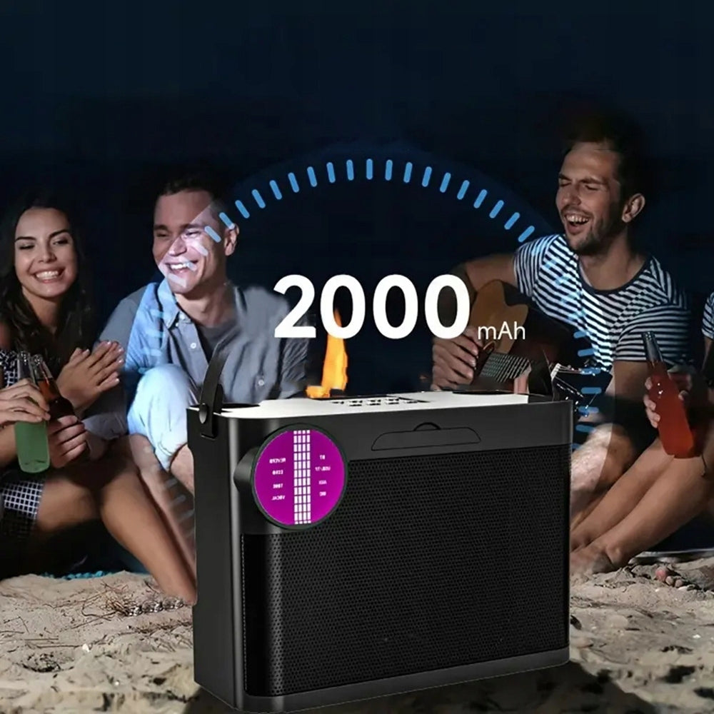 BLUETOOTH 5.3 KARAOKE KIT 10W SPEAKER WITH 2 MICROPHONES VOICE EFFECTS AND LED Model other
