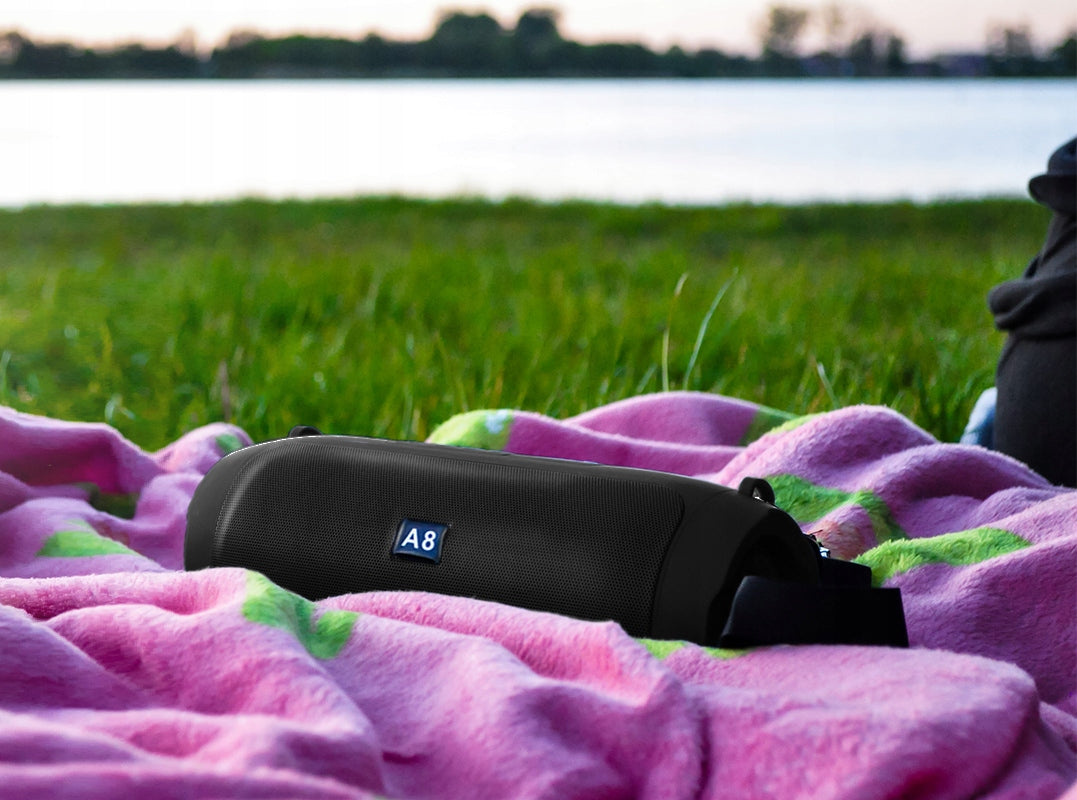 BLUETOOTH Wireless Speaker with FM/USB/SD Radio Gift for Children's Day Brand Webski
