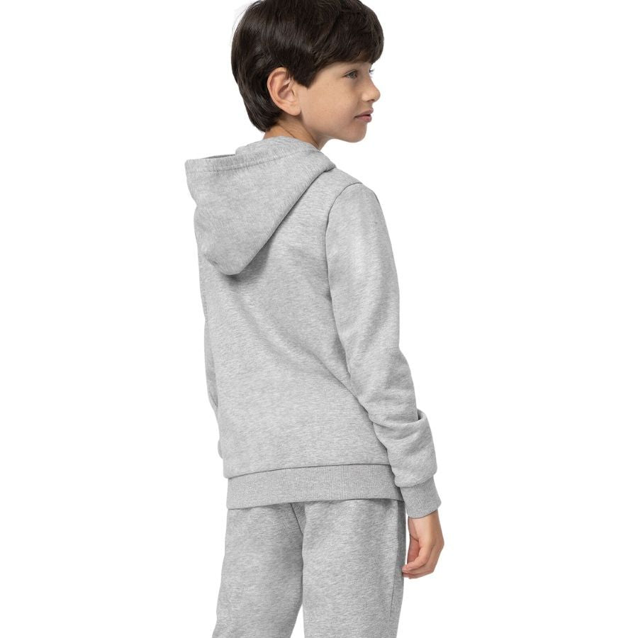 Pullover für Jungen 4F, grau 