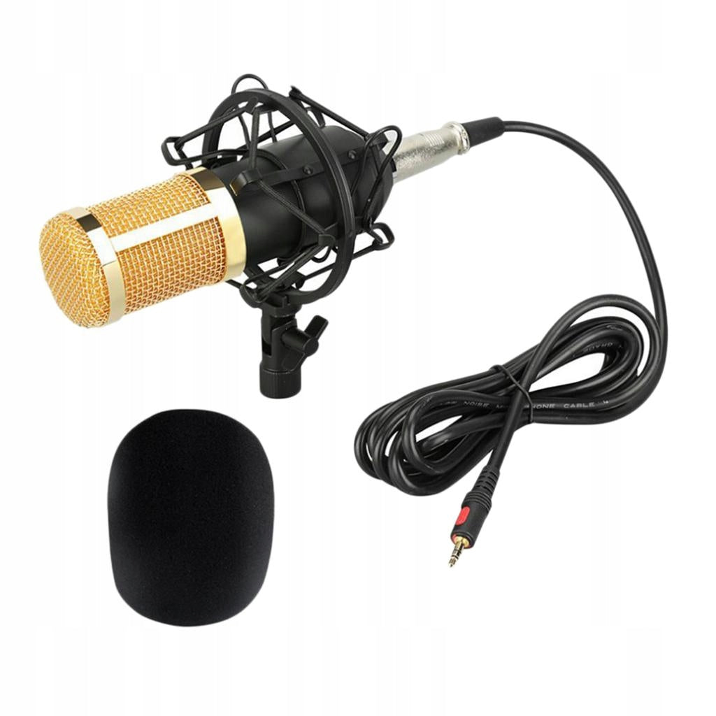 BM800 Large Diaphragm MIC Sound Studio for Singing Recording / Broadcasting