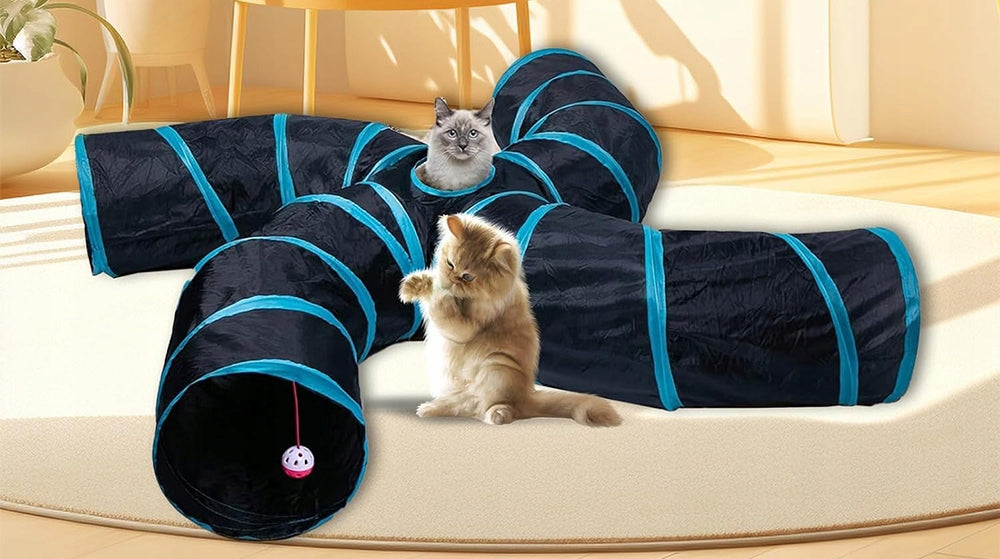 BONE SHAPED ANIMAL TOY, TUNNEL WITH FIVE CHANNELS Manufacturer code FGREHTRJDYTJ