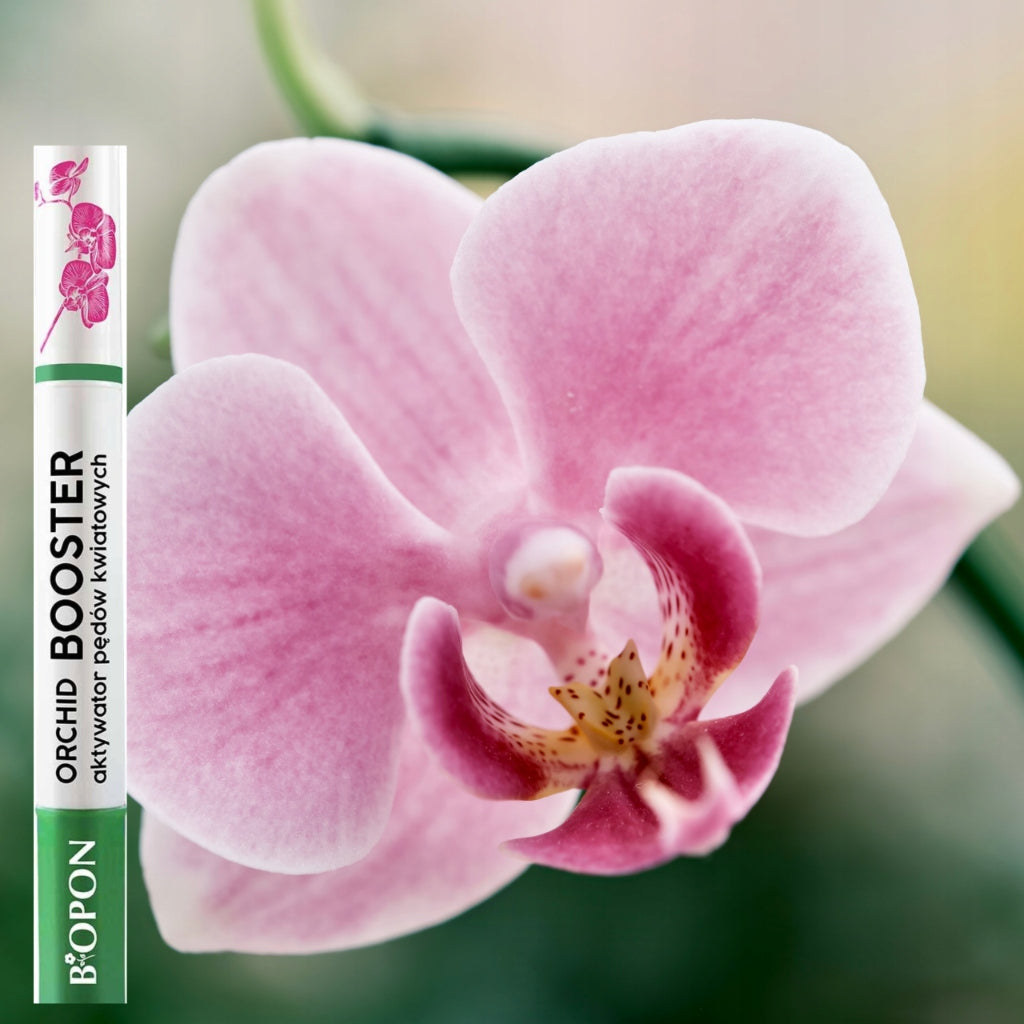 BOPON Orchid Booster Flower Shoot Activator for Flowers Manufacturer Bros