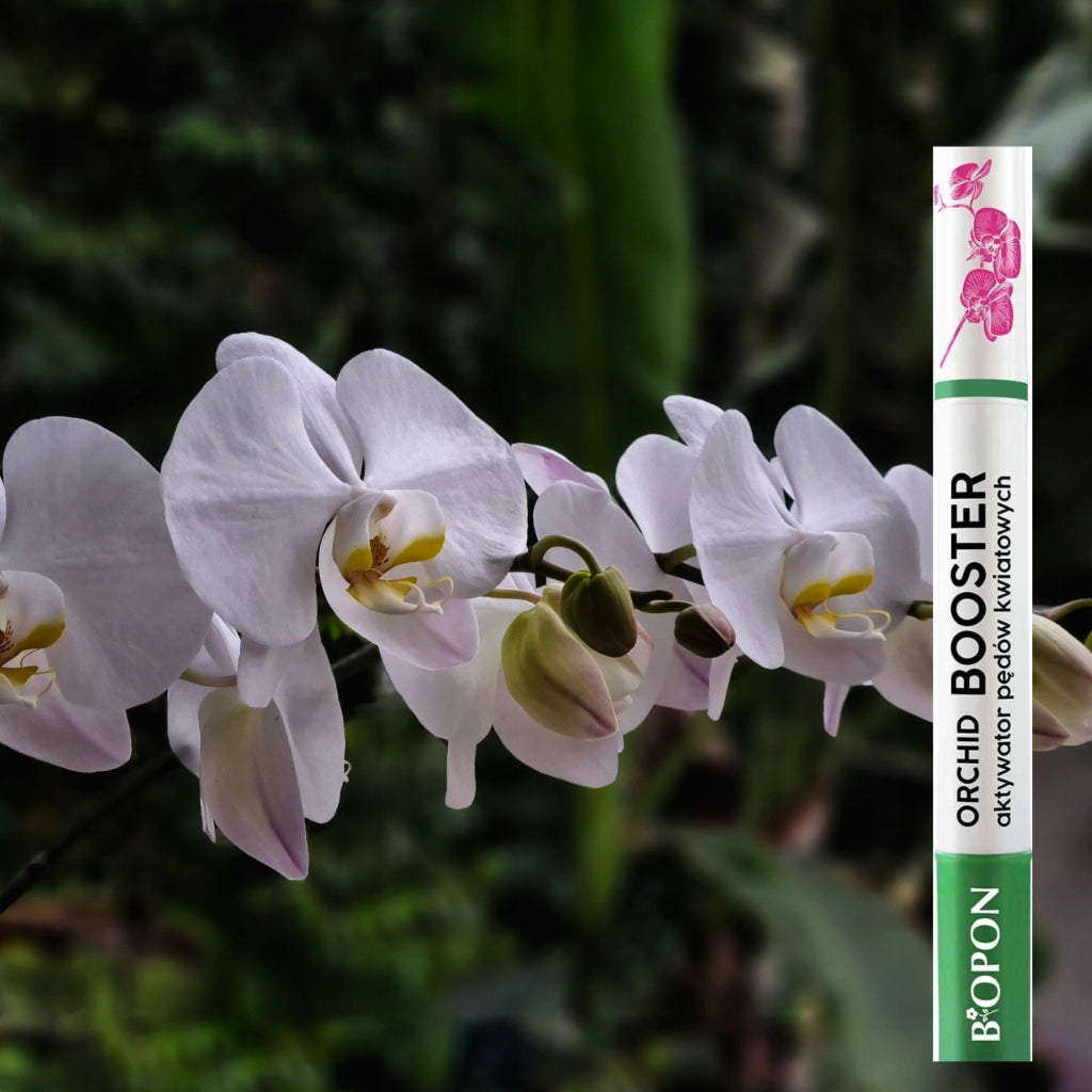 BOPON Orchid Booster Flower Shoot Activator for Flowers Manufacturer code 2038