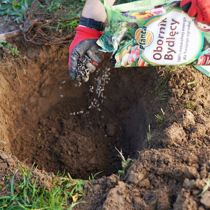 BOVINE MANURE GRANULATED ORGANIC NATURAL ECO VEGETABLE PLANT FERTILIZER 5L Form manure