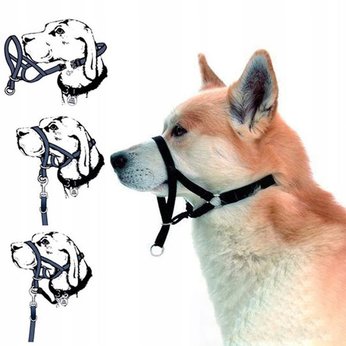 BOW MUZZLE CANTAR FOR DOG XL
