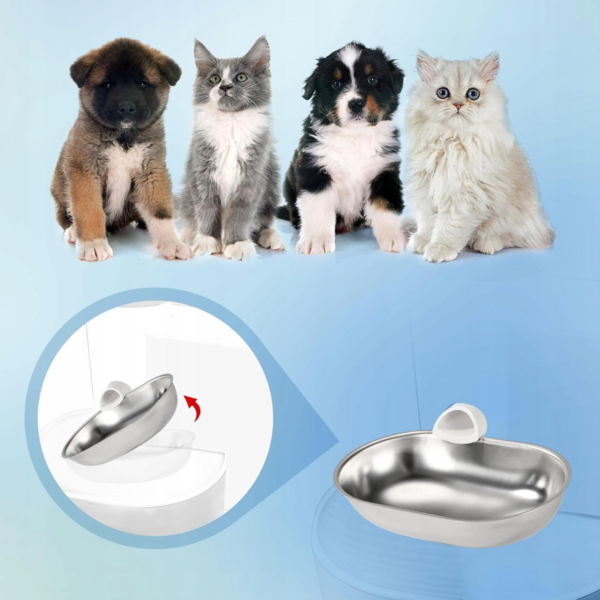 BOWL ANIMAL FOUNTAIN STAINLESS STEEL AUTOMATIC WATER Kind automatic feeder