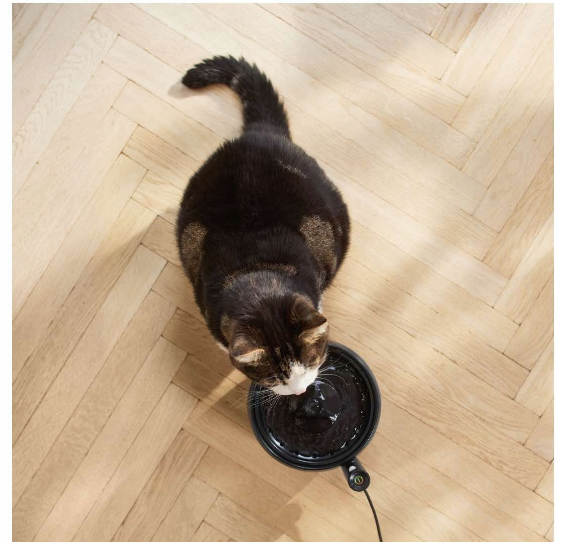 BOWL ELECTRIC FEEDER WITH PURIFIED WATER SOURCE FOR DOG AND CAT Packaging status original