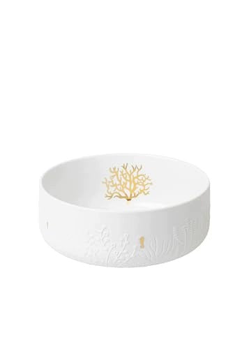 BOWL RÄDER SEAHORSE CORAL FANTASY DECORATION FOR KIDS HOME Brand no brand