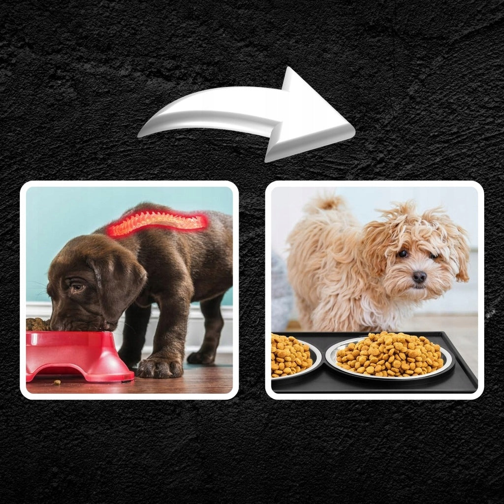 BOWLS ON STAND ADJUSTABLE DOUBLE BOWL LARGE NON-SPILL 2IN1 FOR DOG Color black