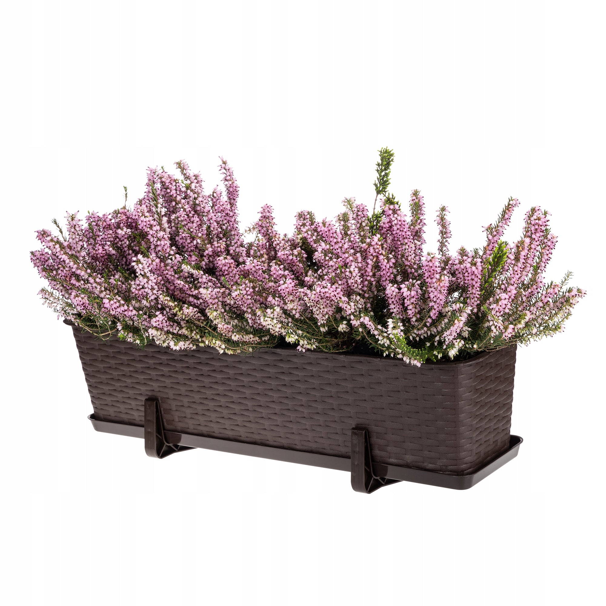 BOX balcony pot 60 x 17 cm plastic RATTAN BRONZE Verdenia Maximum width 17 cm