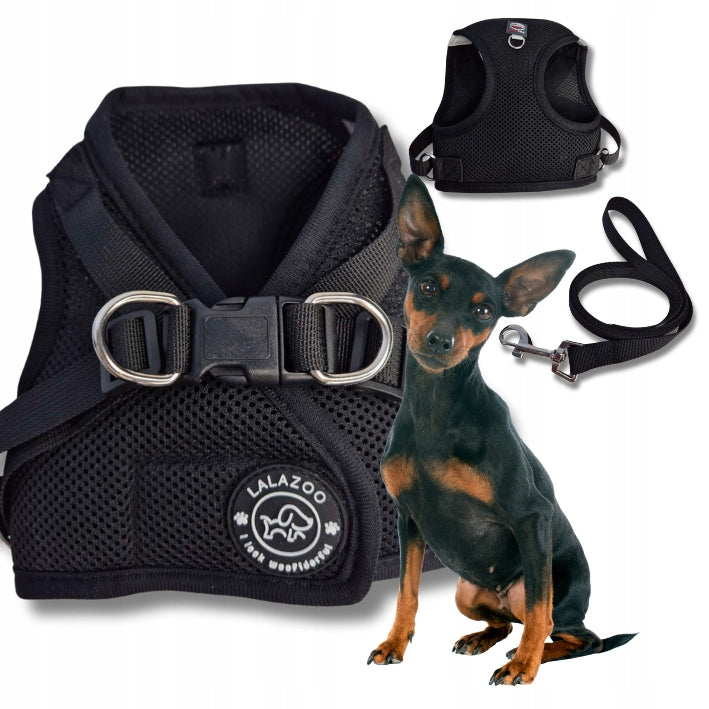BRACES STEP IN PRESSURE-FREE for SMALL DOG BENXI + LEASH black S