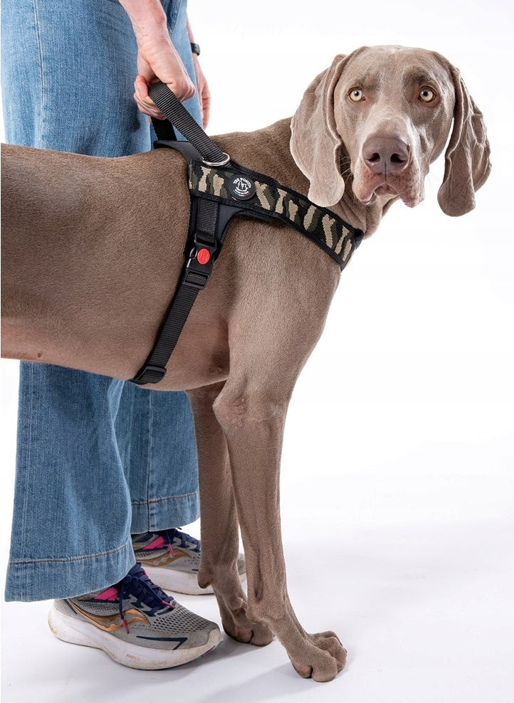 BRACES for big dog Labrador XL 70-90cm TRE PONTI camo VERY STRONG Kind walking harness