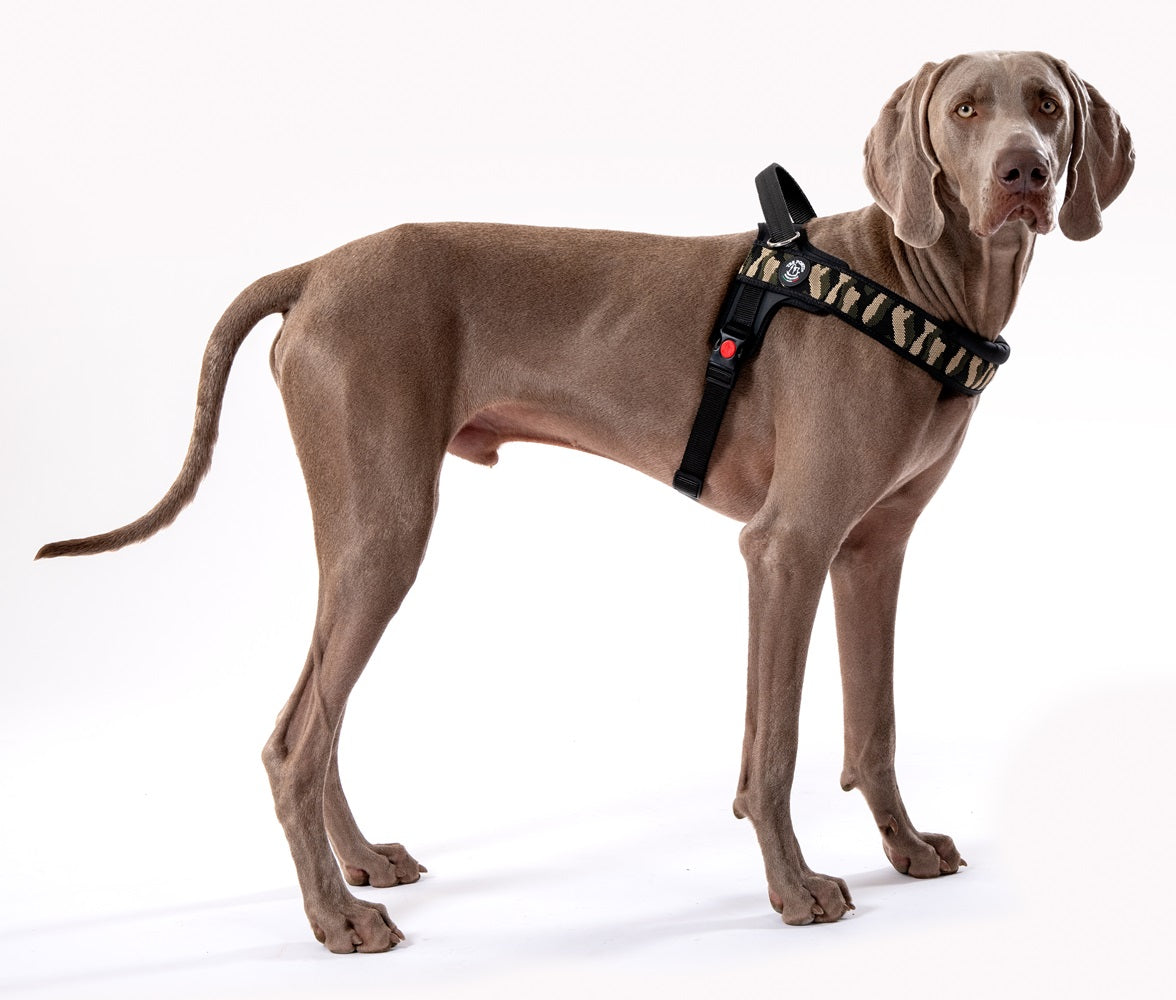 BRACES for big dog Labrador XL 70-90cm TRE PONTI camo VERY STRONG Manufacturer code T1010XL