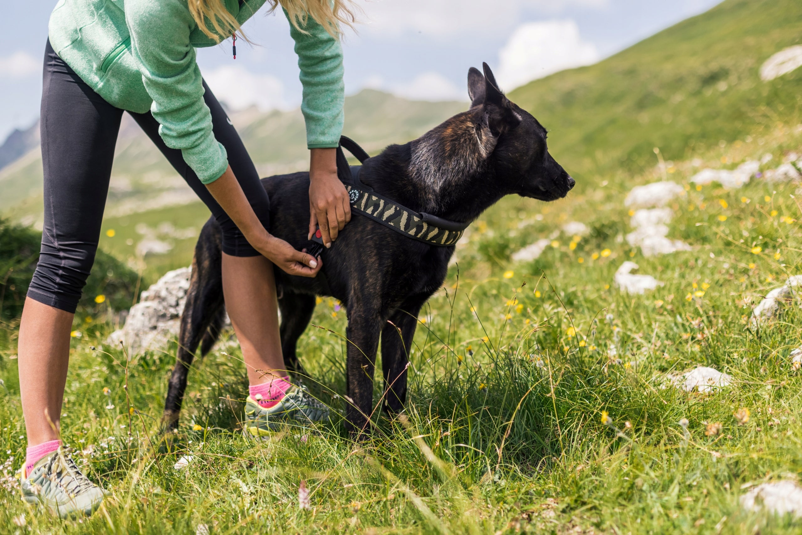 BRACES for big dog Labrador XL 70-90cm TRE PONTI camo VERY STRONG Type harness with handle
