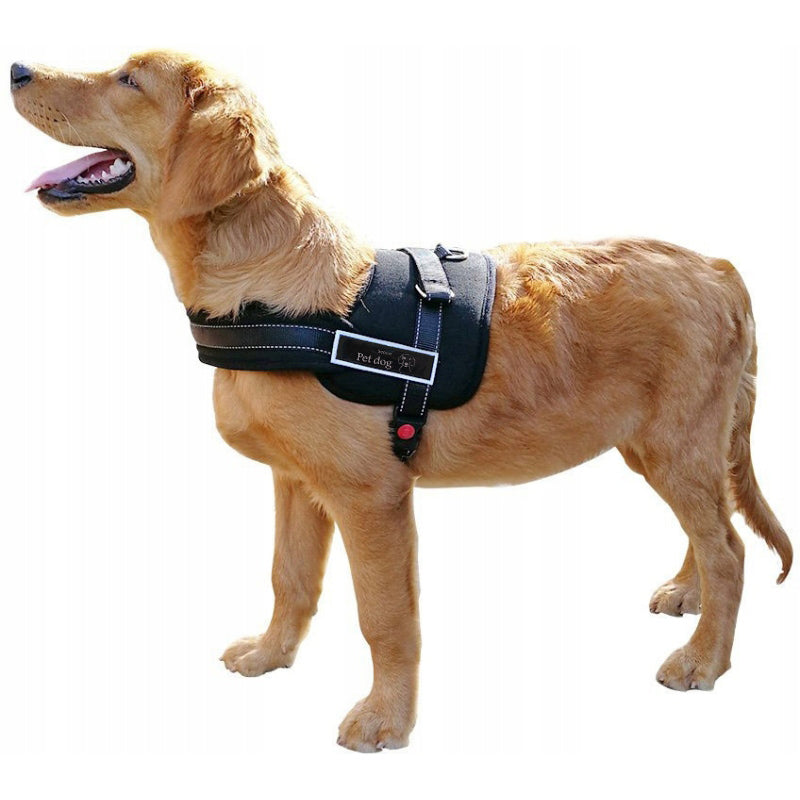 BRACES for dog PRESSURE-FREE SIZE L 67-88cm Color black
