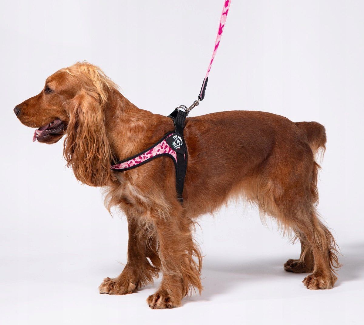 BRACES for dogs French Bulldog 54-69cm TRE PONTI camo pink size. 3,5 Color multicolor