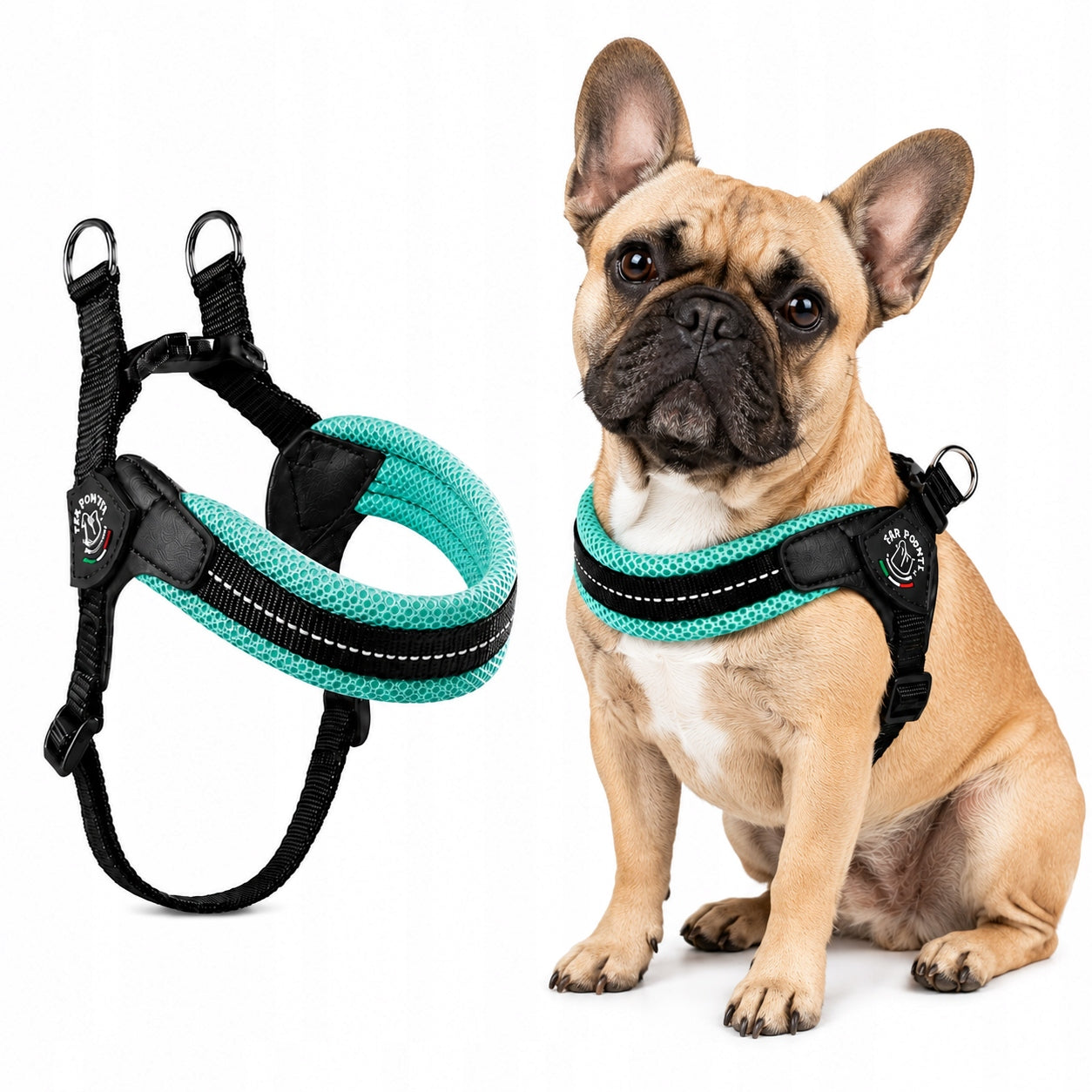 BRACES for dogs French Bulldog L 54-69cm TRE PONTI mint PRESSURE-FREE
