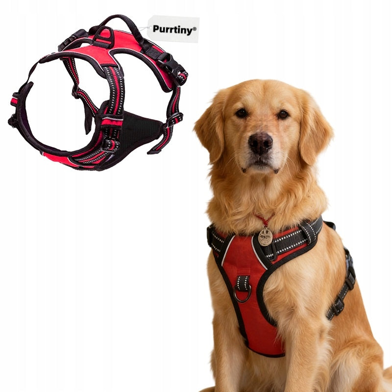 BRACES for dogs PRESSURE-FREE red M 38-75cm