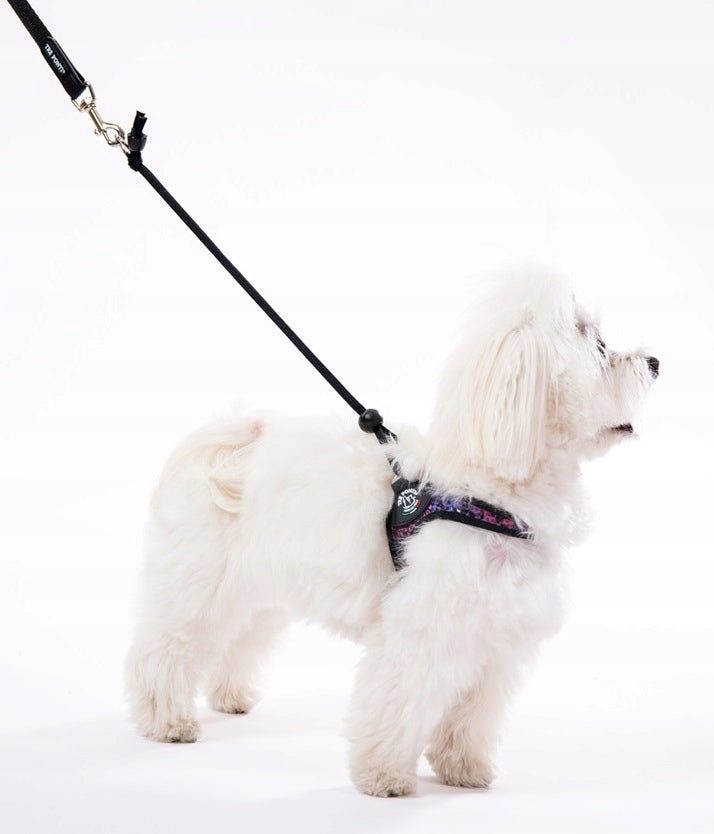 BRACES for mini dog Chihuahua York 25-35cm TRE PONTI Python LIGHT Italian Manufacturer code F090P